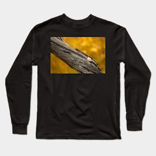 Leaf on dead tree in autumn forest Long Sleeve T-Shirt